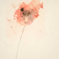 'pink flower series 1' mixed media on paper 40 x 30 cm unframed $255